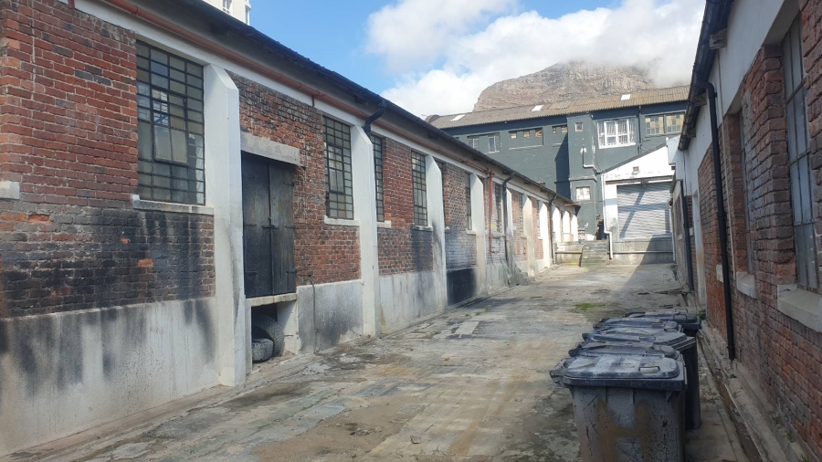 To Let Commercial Property for Rent in Salt River Western Cape